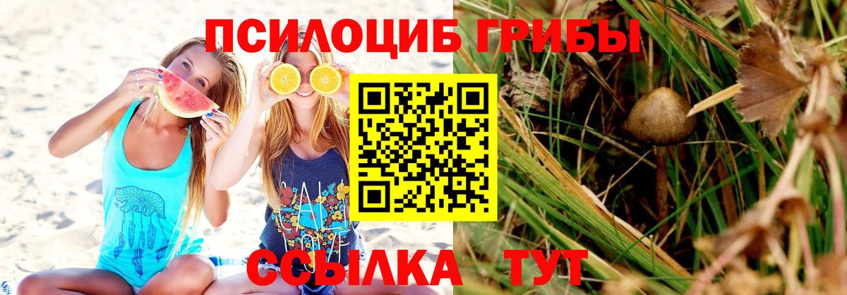 Галлюциногенные грибы Psilocybine cubensis Воронеж