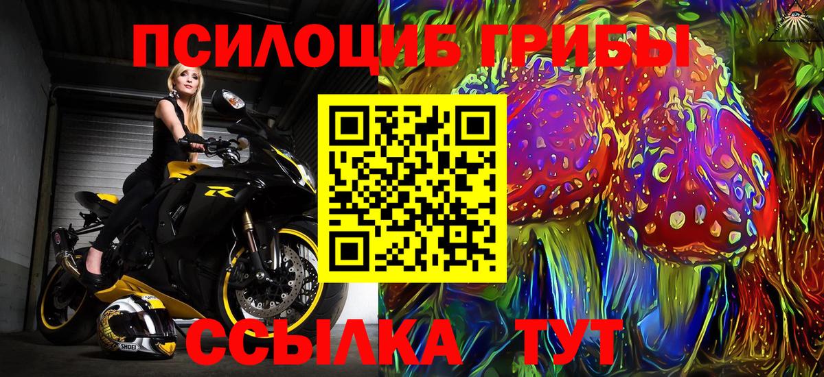 Воронеж  Псилоцибиновые грибы Magic Shrooms  Вход с VPN  Галлюциногенные грибы Psilocybine cubensis 